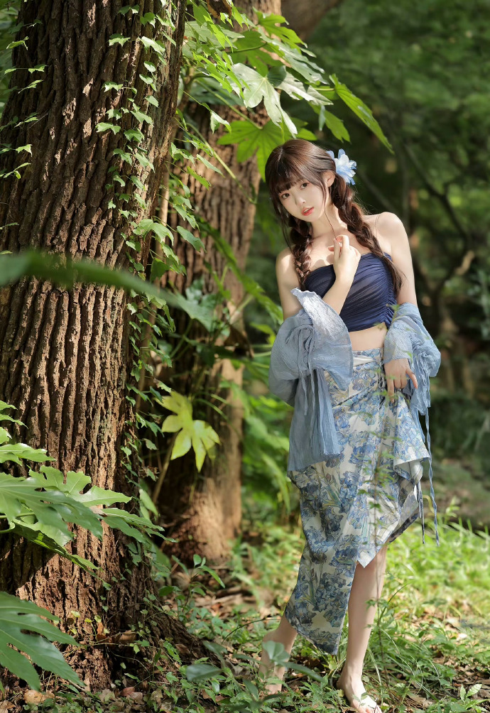 甄嬛传 封面